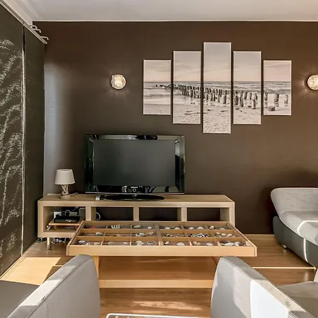 Seila 0404 코크시데